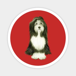 Bearded Collie (slate grey and white) - Just the Dog Magnet